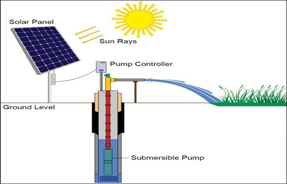 This photo shows a solar water pump installed in a field, demonstrating its application in agricultural irrigation