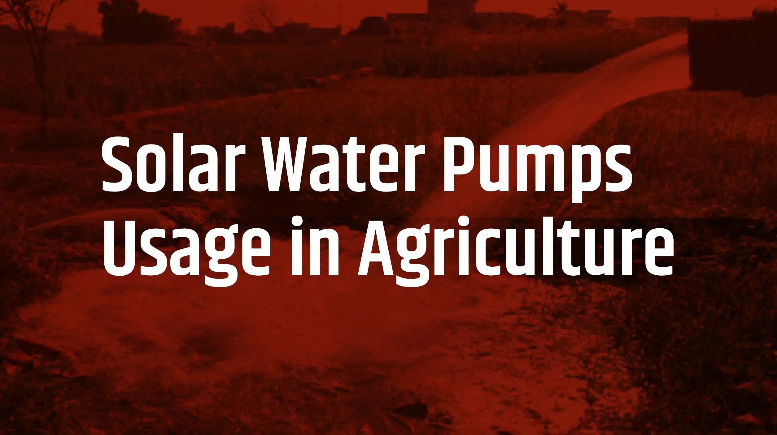 solar water pump usage